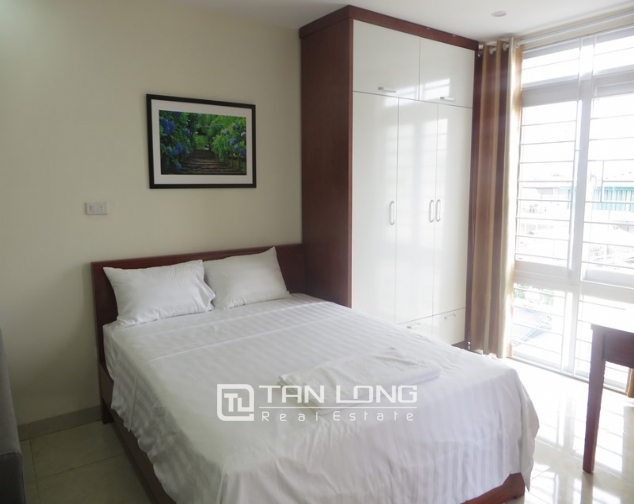 Serviced one bedroom apartment in My Dinh for lease 2